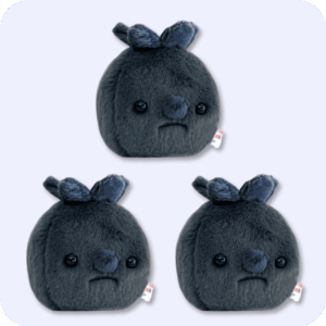 Forgotten Blueberry Plush 3PCS