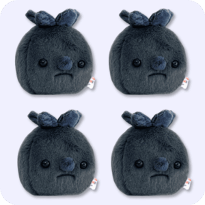 Forgotten Blueberry Plush 4PCS